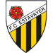 FC Estavayer